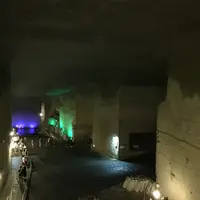 大谷石採石場跡・大谷資料館の写真・動画_image_40874