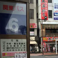 大谷石採石場跡・大谷資料館の写真・動画_image_40886
