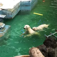 天王寺動物園の写真・動画_image_40950