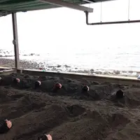 【閉業】別府海浜砂湯の写真・動画_image_40979