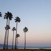 【閉業】別府海浜砂湯の写真・動画_image_40983