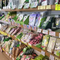 川の駅船小屋 恋ぼたるの写真・動画_image_40989