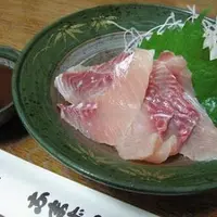 名古屋なまずやの写真・動画_image_41118