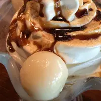 嬉野    湯豆腐   平川の写真・動画_image_41136