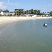 日間賀島の写真・動画_image_41564