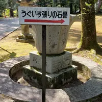 香山公園の写真・動画_image_418419