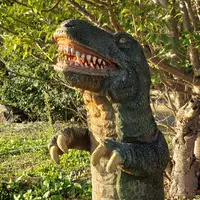 毘沙ノ鼻の写真・動画_image_418432