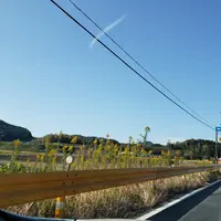 毘沙ノ鼻の写真・動画_image_418435