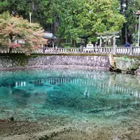 別府弁天池の写真・動画_image_418458