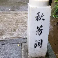 秋芳洞の写真・動画_image_418462