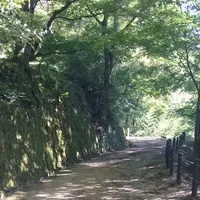 城山公園の写真・動画_image_418491