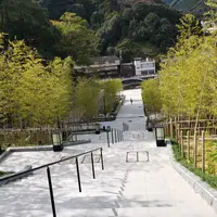 長門湯本温泉の写真・動画_image_419133