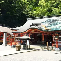 那智の滝の写真・動画_image_41970