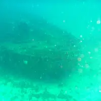 初島ダイビングセンターの写真・動画_image_4237