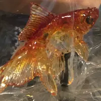 東京ソラマチの写真・動画_image_42603