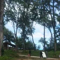 ワイマナロ・ビーチ・パークの写真・動画_image_42784