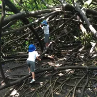 Manoa Fallsの写真・動画_image_42787