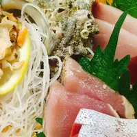 小田原さかなセンターの写真・動画_image_42797