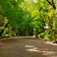 香取神宮の写真・動画_image_428793