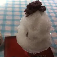 仲氷店の写真・動画_image_42881