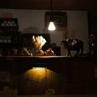 あくびカフェの写真・動画_image_429888
