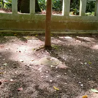 鹿島神宮の写真・動画_image_430194