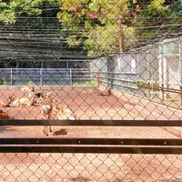 鹿島神宮の写真・動画_image_430195