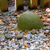 香取神宮の写真・動画_image_430196