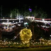 東南植物楽園の写真・動画_image_431460