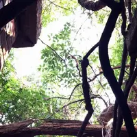 友ヶ島灯台の写真・動画_image_43185