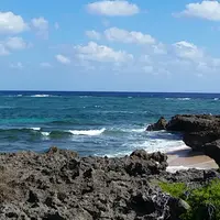 ハビャーン（カベール岬）の写真・動画_image_432590