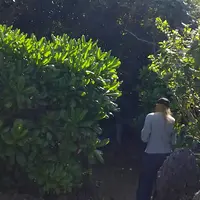 お食事処 とくじんの写真・動画_image_432595