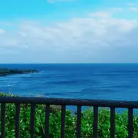 喜屋武岬の写真・動画_image_432617