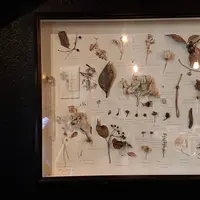 bonbonの写真・動画_image_432731