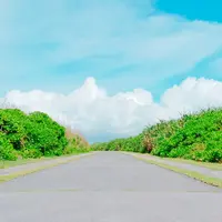 残波岬の写真・動画_image_433212