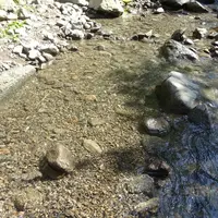 静岡市清水森林公園やすらぎの森の写真・動画_image_43366