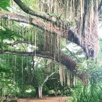 ホノルア湾の写真・動画_image_43634