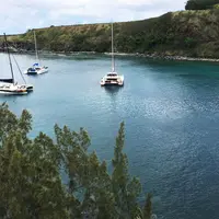 ホノルア湾の写真・動画_image_43636