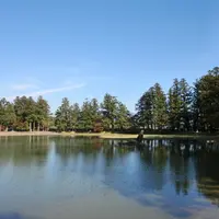 毛越寺の写真・動画_image_4365