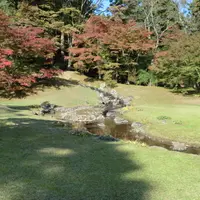 毛越寺の写真・動画_image_4366