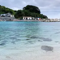 柏島の写真・動画_image_437157