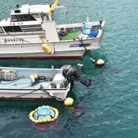 柏島の写真・動画_image_437164