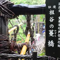 祖谷のかずら橋の写真・動画_image_437183