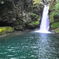 にこ淵の写真・動画_image_437187
