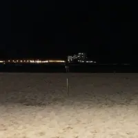 マイタイ・バーの写真・動画_image_43741