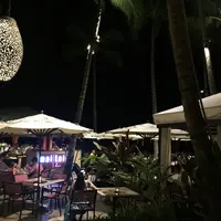 マイタイ・バーの写真・動画_image_43742