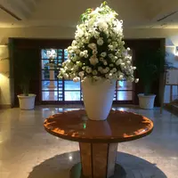 ザ・ナハテラスの写真・動画_image_43834