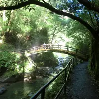 天安河原の写真・動画_image_4393