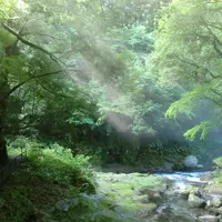 天安河原の写真・動画_image_4394