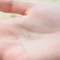 カイジ浜の写真・動画_image_43952